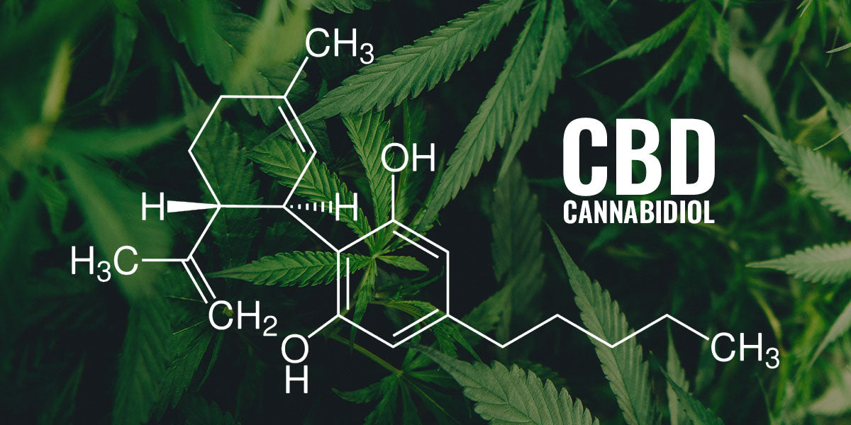 CBD Isolate vs. Broad Spectrum: What’s The Difference?