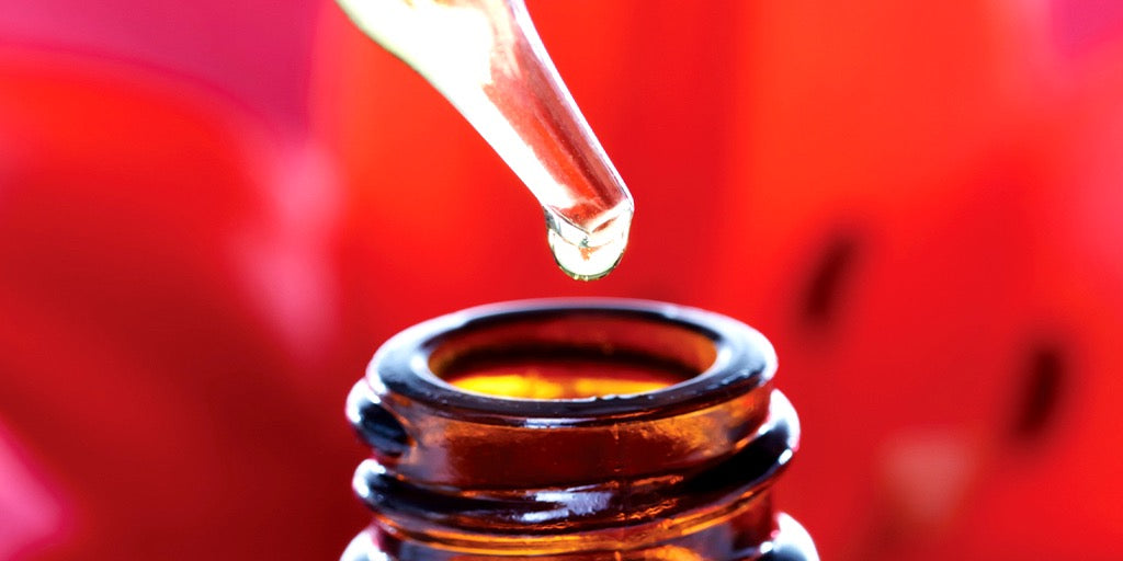 How to Boost your Immune System and Stay Healthy